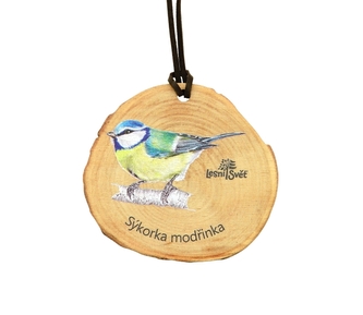Lesní svět Dřevěná medaile letokruh - Sýkora modřinka