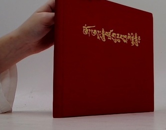 An elucidation excellent path to omniscience