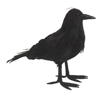 Vrána na postavení 25 x 17 x 8 cm
