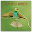 Exotic Birds - Exotische Vögel 2026 - 16-Monatskalender