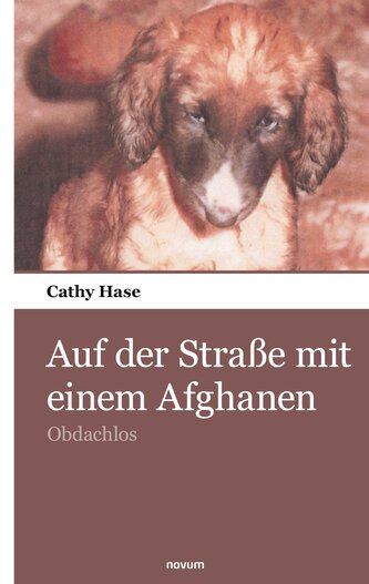 Auf der Straße mit einem Afghanen Auf der Straße mit einem Afghanen