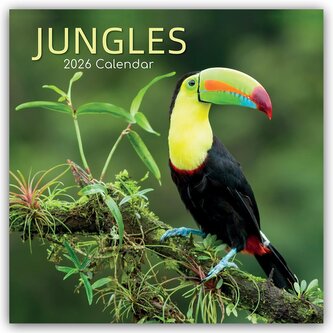 Jungles - Dschungel 2026 - 16-Monatskalender