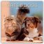 Cats and Dogs - Katzen und Hunde 2026 - 16-Monatskalender