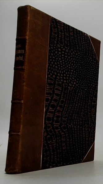 Katechismus - Dějin umění