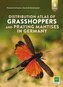 Distribution atlas of grasshoppers and praying mantis in Germany