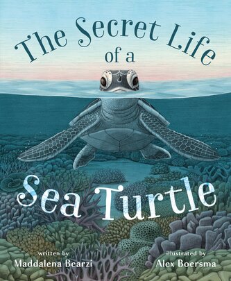 The Secret Life of a Sea Turtle