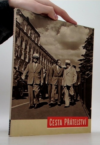 Cesta přátelství