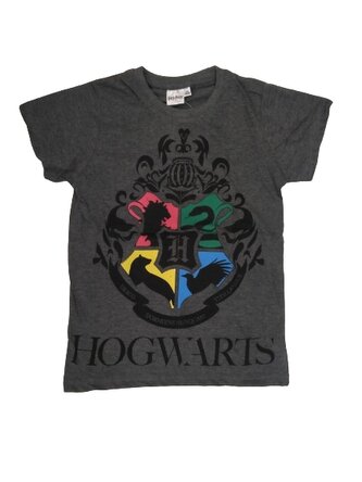 Tričko HARRY POTTER krátký rukáv šedé tmavé, velikost: 164