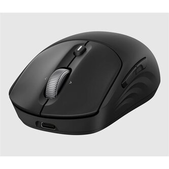 HP 405 Quiet Black Wireless Mouse EURO