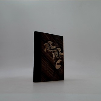 Julie neboli Nová Heloisa III.