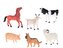 Zvířátka z farmy, velikost 10 - 14 cm, 18 kusů, 6 druhů, naučný set