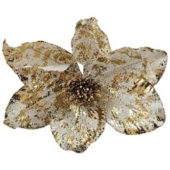 Poisencja z materiału śr. 33cm, Ziemia Obiecana