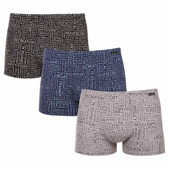 3PACK pánské boxerky Andrie vícebarevné (PS 5696) L