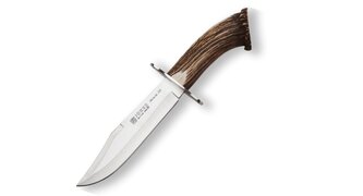 JOKER CN100 Stag Horn Crown Bowie lovecký nôž 20 cm, paroh, kožené puzdro