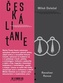 Česká litanie