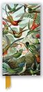 Notatnik linia TW Kolibry Ernst Haeckel