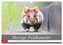 Herzige Feldhamster - farbenfrohe Nagetiere im städtischen Lebensraum (Wandkalender 2025 DIN A3 quer), CALVENDO Monatskalender