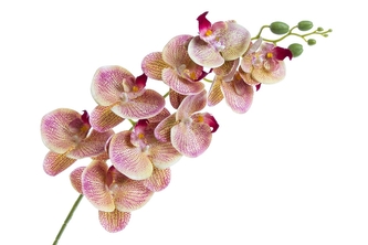Umělá orchidej 95 cm, růžová