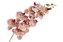 Umělá orchidej 95 cm, růžová