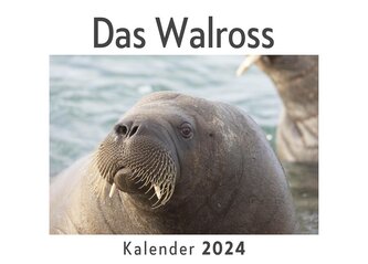 Das Walross (Wandkalender 2024, Kalender DIN A4 quer, Monatskalender im Querformat mit Kalendarium, Das perfekte Geschenk)