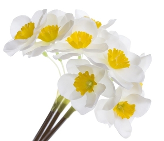 Kytička narcisů 49 cm, bílá