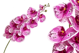 Umělá orchidej 98 cm, růžová