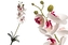 Umělá orchidej 95 cm, bílá s tmavě růžovou