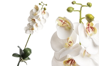 Umělá orchidej 95 cm, bílo-žlutá