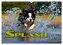 SPLASH - Hunde im Wasser (Wandkalender 2025 DIN A3 quer), CALVENDO Monatskalender