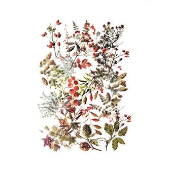 Dekorativní samolepky fóliové - poklady lesa, 40ks Dekorativní samolepky fóliové - poklady lesa, 40ks