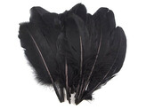 Husí peří délka 12-21 cm - 20 ks - 10 černá