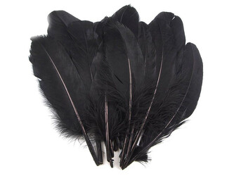 Husí peří délka 12-21 cm - 20 ks - 10 černá