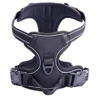 Postroj pro psa Comfort S Černá