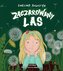 Zaczarowany las
