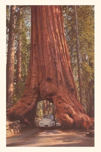 Vintage Journal Redwood and Volkswagen