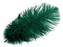 Pštrosí peří délka cca 20-25 cm - 10 ks - 44 zelená tmavá