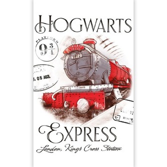 Ručník s Bradavickým expresem, Harry Potter