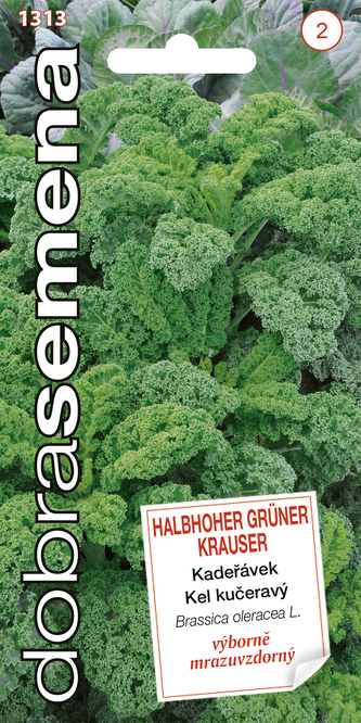 Dobrá semena Kadeřávek - Halbhoher Gruner Krauser 1g