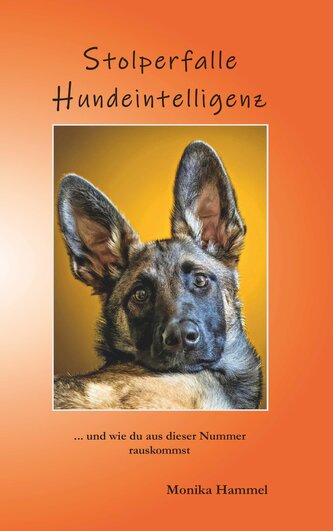 Stolperfalle Hundeintelligenz