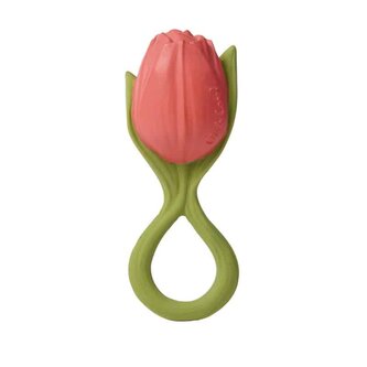 HRYZÁTKO TULIPÁN THEO THE TULIP HRYZÁTKO TULIPÁN THEO THE TULIP