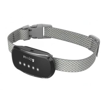 Reedog TC-005-černá