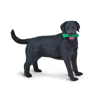 Černý labrador