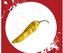 Semínka Chilli papriček Aji Pineapple 10 ks