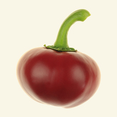 Semínka chilli Large Chocolate