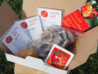 Set semínek chilli - mírně pálivé odrůdy 30 ks