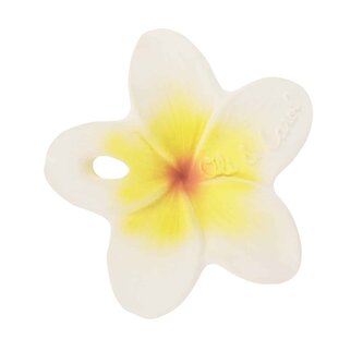 MINI HRYZÁTKO HAWAII THE FLOWER