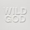 Nick Cave & The Bad Seeds: Wild God