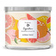 Svíčka ve skleněném válci Woodbridge, Citrus Twist, 410 g