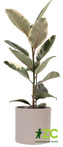 Obal 411 Stone Grey 28 cm