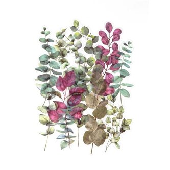 Dekorativní samolepky fóliové - dřišťál, 12 ks Dekorativní samolepky fóliové - dřišťál, 12 ks